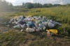 В Новосибирске собрали более 4 тонн мусора во время субботника