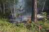 Названы регионы ДФО, где в мае наиболее вероятны ЧС из-за лесных пожаров