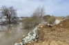 Двойная декадная норма осадков выпала за сутки в затопленном районе Омской области