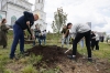В Северодвинске будут расти 40 кленов в память о бойцах СВО
