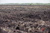 В Башкирии возбуждено уголовное дело о повреждении почвы с ущербом 176 млн рублей