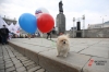 В Башкирии начали действовать новые требования к выгулу собак