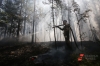 Почти тысяча гектаров на севере Красноярского края охвачена огнем