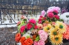 В Ленобласти из-за бобров затопило кладбище
