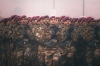 Военные Индии и Пакистана обменялись выстрелами на пограничной линии контроля
