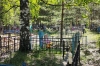 В Карелии медведь пришел на кладбище