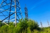 Запорожская область осталась полностью без света