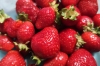 Египетская быстрозамороженная клубника оказалась опасной для здоровья