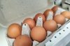 Яйца на оптовом рынке подорожали на 90 % из-за Масленицы и Пасхи