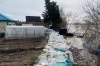 Более 120 приусадебных участков ушли под воду на Алтае