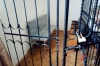 За использование Ленд Крузера и спасателей получил срок бывший глава МЧС