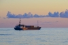 Названы сроки ликвидации разлива нефти на Сахалине