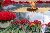 Эстонцы пересекли границу ради концерта Победы, отвергнув «День Европы»