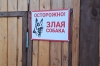 В Нижнекамске бультерьер напал на 12-летнюю девочку, возбуждено уголовное дело