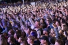 22 августа в Хабаровске пройдет фестиваль «Рок над Амуром» с Чичериной и Найком Борзовым: полная афиша