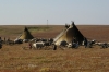 Последствия глобального потепления: пожары уничтожают экосистему тундры Западной Сибири на столетия