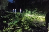 В Новгородской области без электричества остаются почти 5 тысяч человек