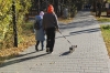Кемерово: погода на неделю с 14 по 20 сентября – похолодание и дожди
