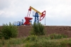 Удмуртский бизнесмен организовал банду и похитил 100 тонн нефти