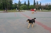 Опасную вакцину нашли в Дзержинске