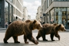 Численность медведей в Новосибирской области выросла на 25% за десять лет