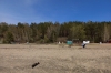 Центральный пляж в Академгородке переходит в собственность Новосибирска