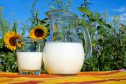 «Качество белорусского молока, порой, оставляет желать лучшего»