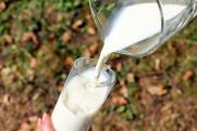«Нужно быстрее вводить меры защиты молочного рынка от мошенников»