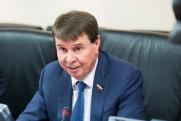 Сенатор назвал вбросы о ЧВК «Вагнера» инструментом для распространения русофобии
