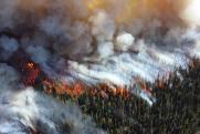 «Обезглавливание службы лесников привело к массовым пожарам в Сибири»