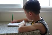 Белгородский губернатор отменит домашние задания для школьников