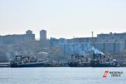 Приморские власти недовольны мерами по борьбе с угольной пылью в портах