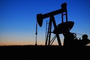 «Цена на нефть может измениться после заседания стран ОПЕК+»