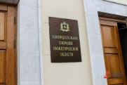 Заксобрание Нижегородской области приняло в двух чтениях закон о поправках в устав региона