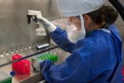 «Иркутск из всех соседей Китая наиболее подходит для распространения коронавируса»