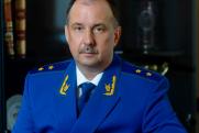Самарской губернской думе представили нового прокурора области