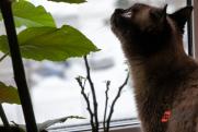 Эксперты: падение цен на аренду жилья в России замедлилось в мае
