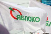 «Яблоко» проведет праймериз перед довыборами в думу Екатеринбурга