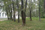 «Время не допустить стройку уже упущено». Эксперт об общежитии РЖД в Черняевском лесу
