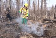 В Новосибирске сожгли 112 гектаров сухой травы и мусора