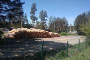 Жители Златоуста заподозрили промышленную вырубку деревьев на стадионе