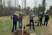 Кто и зачем высаживает «Сады памяти» в Ленинградской области