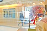 Невролог объяснил, как коронавирус влияет на умственные способности