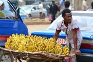 Перечислены причины роста цен на бананы в России