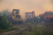 Основной версией причины лесного пожара в Тольятти назвали поджог