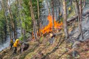 Якутия в огне: в Сети запустили флешмоб за борьбу с лесными пожарами