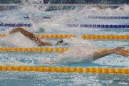 «Нация удовлетворена»: пловец о победе российских олимпийцев
