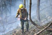Курортной зоне на Камчатке угрожает мощный лесной пожар
