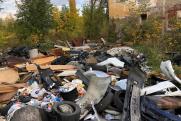Цемент, ртуть, мышьяк и строительный мусор: как Невскому району решить проблему со свалками