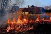 Пострадавшая от лесного пожара в Челябинской области: «Жалко олимпийского мишку»